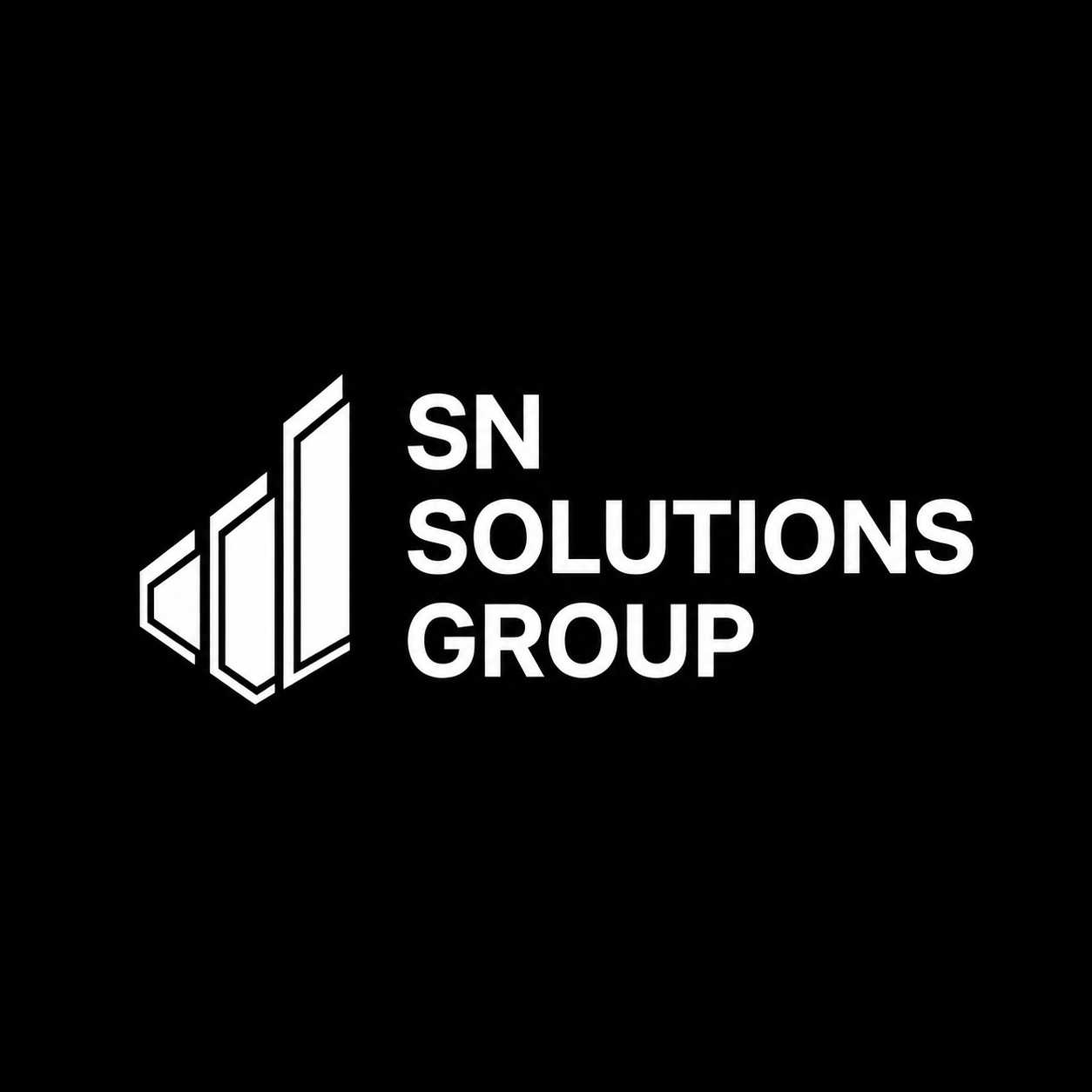SN SOLUTIONS GROUP — 2