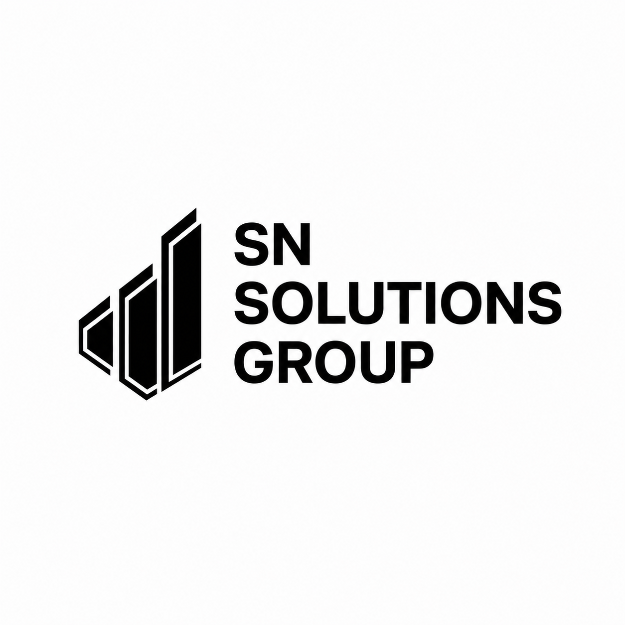 SN SOLUTIONS GROUP — 3