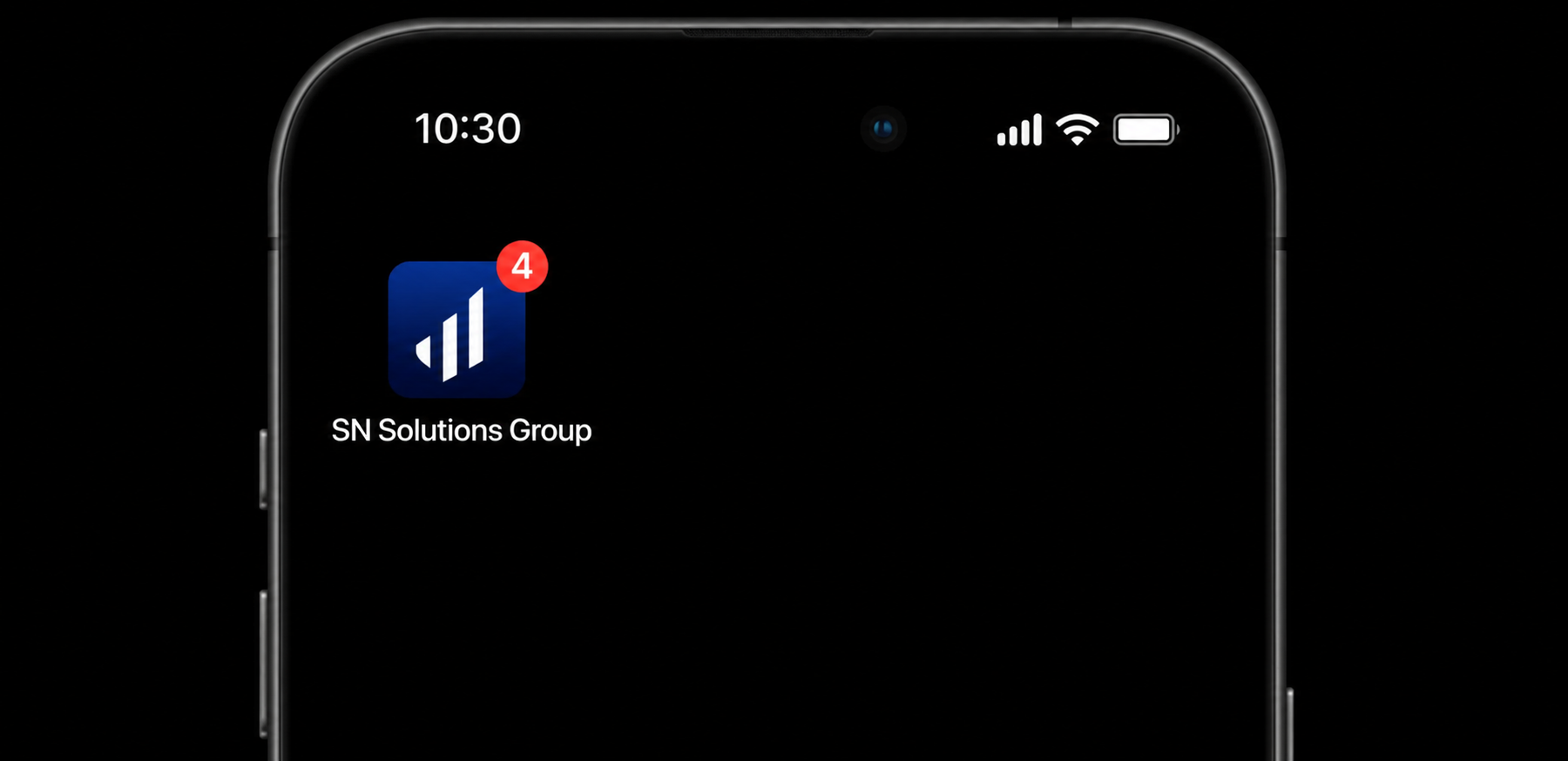SN SOLUTIONS GROUP — 4